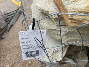 FLAGSTONE-GREENFLECK