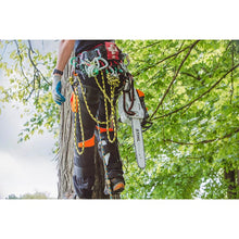 319a7962-dd02-4dfb-df49-08dd792a4d90