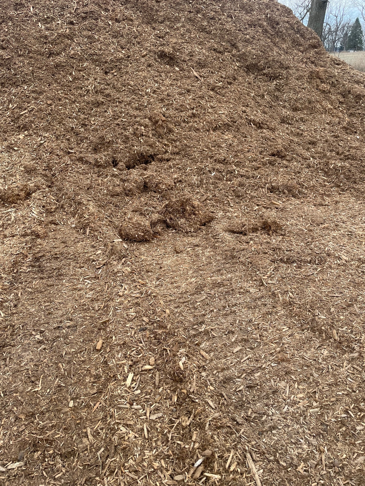 MULCH CEDAR BARK